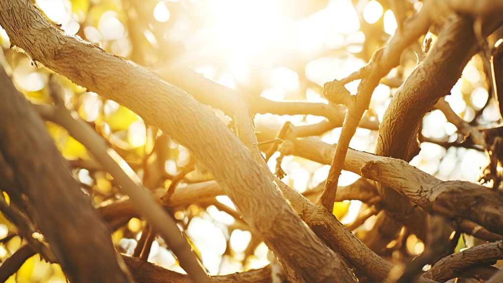 Przyczyny depresji endogennej